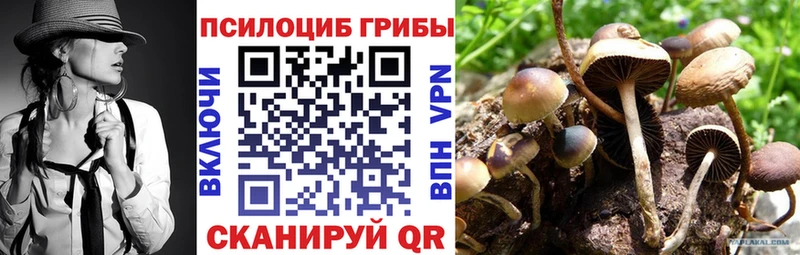 это официальный сайт  Ртищево  Псилоцибиновые грибы Magic Shrooms  купить  сайты 